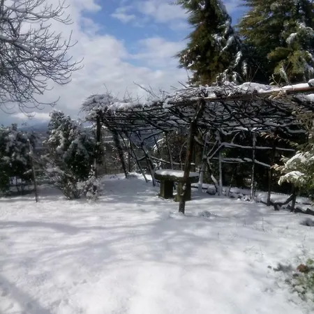 Casa Bartolacci Cozy Ferienhaus Bivigliano