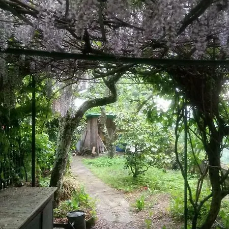 Ferienhaus Casa Bartolacci Cozy