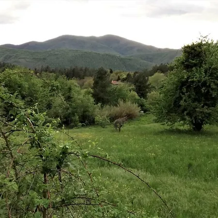 Holiday home Casa Bartolacci Cozy Bivigliano